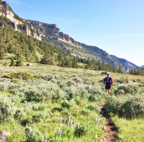 Rolling down the trail in the early miles of the Bighorn 50 trail run. 