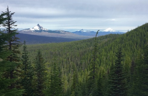The peaks of Mt. Washington, Three Fingered Jack and Mt. Jefferson can be seen from the PCT on the way to South Matthieu Lake.